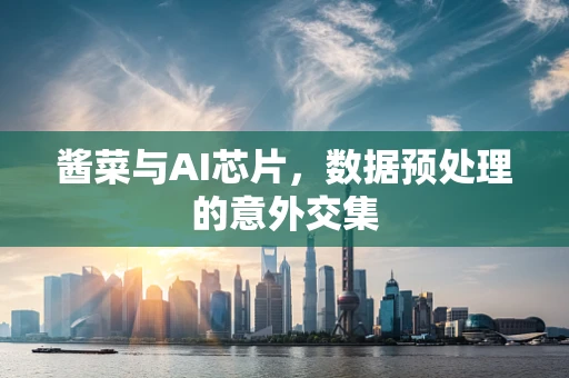 酱菜与AI芯片，数据预处理的意外交集