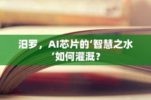 汨罗，AI芯片的‘智慧之水’如何灌溉？