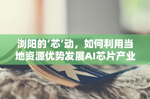 浏阳的‘芯’动，如何利用当地资源优势发展AI芯片产业？