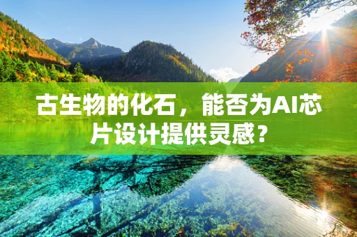 古生物的化石，能否为AI芯片设计提供灵感？