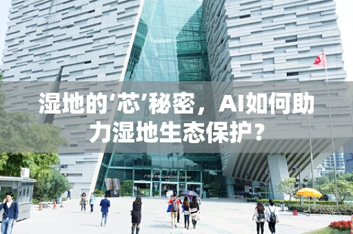 湿地的‘芯’秘密，AI如何助力湿地生态保护？