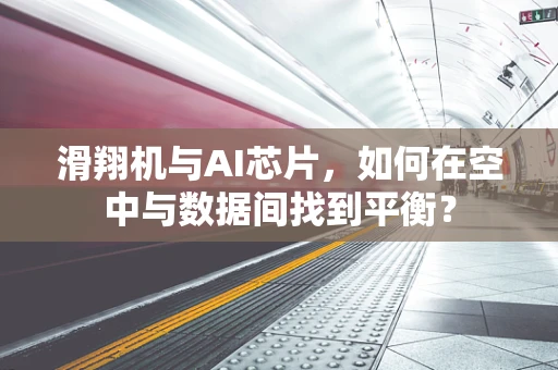 滑翔机与AI芯片，如何在空中与数据间找到平衡？