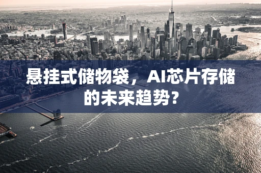 悬挂式储物袋，AI芯片存储的未来趋势？