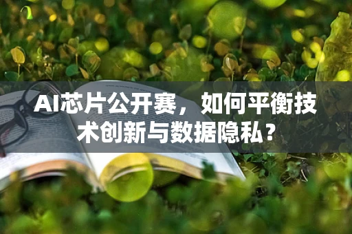 AI芯片公开赛，如何平衡技术创新与数据隐私？