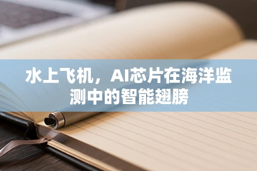水上飞机，AI芯片在海洋监测中的智能翅膀