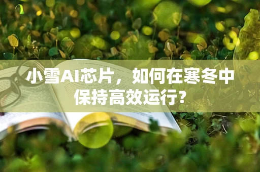 小雪AI芯片，如何在寒冬中保持高效运行？