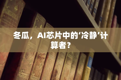 冬瓜，AI芯片中的‘冷静’计算者？