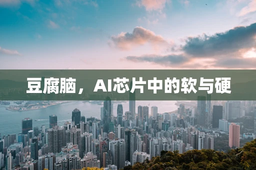 豆腐脑，AI芯片中的软与硬