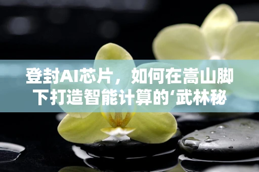 登封AI芯片，如何在嵩山脚下打造智能计算的‘武林秘境’？