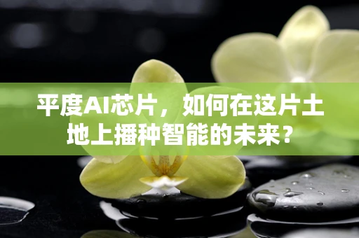 平度AI芯片，如何在这片土地上播种智能的未来？
