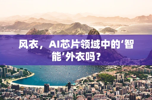 风衣，AI芯片领域中的‘智能’外衣吗？