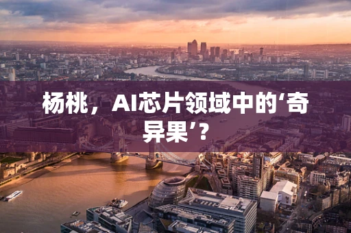 杨桃，AI芯片领域中的‘奇异果’？