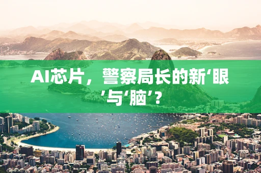 AI芯片，警察局长的新‘眼’与‘脑’？