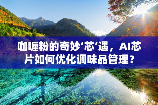 咖喱粉的奇妙‘芯’遇，AI芯片如何优化调味品管理？