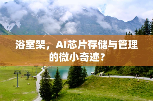 浴室架，AI芯片存储与管理的微小奇迹？