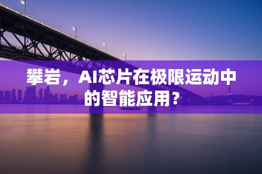 攀岩，AI芯片在极限运动中的智能应用？