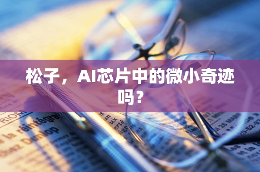 松子，AI芯片中的微小奇迹吗？