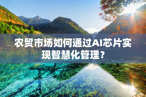 农贸市场如何通过AI芯片实现智慧化管理？