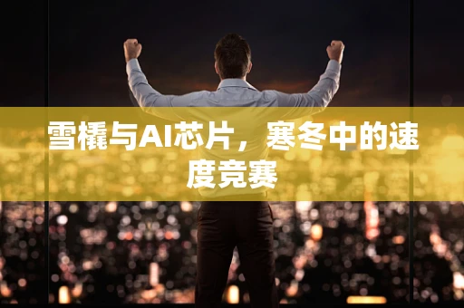 雪橇与AI芯片，寒冬中的速度竞赛