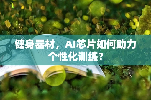 健身器材，AI芯片如何助力个性化训练？
