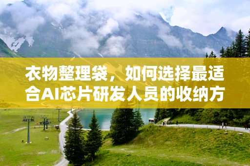 衣物整理袋，如何选择最适合AI芯片研发人员的收纳方案？