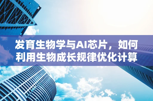 发育生物学与AI芯片，如何利用生物成长规律优化计算架构？