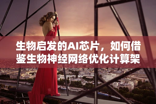 生物启发的AI芯片，如何借鉴生物神经网络优化计算架构？