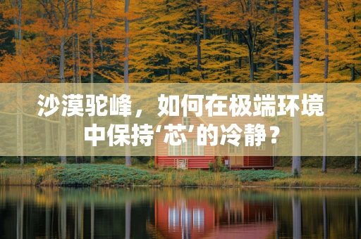 沙漠驼峰，如何在极端环境中保持‘芯’的冷静？
