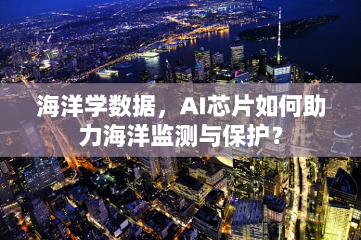 海洋学数据，AI芯片如何助力海洋监测与保护？