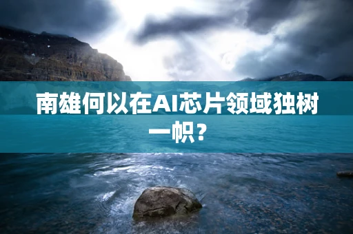 南雄何以在AI芯片领域独树一帜？