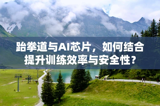 跆拳道与AI芯片，如何结合提升训练效率与安全性？