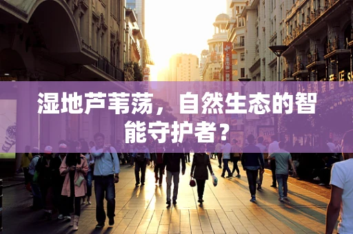 湿地芦苇荡，自然生态的智能守护者？