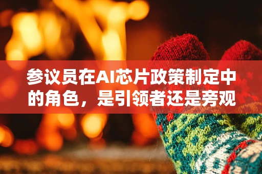 参议员在AI芯片政策制定中的角色，是引领者还是旁观者？