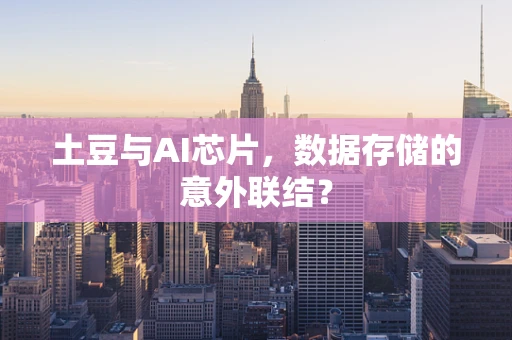 土豆与AI芯片，数据存储的意外联结？