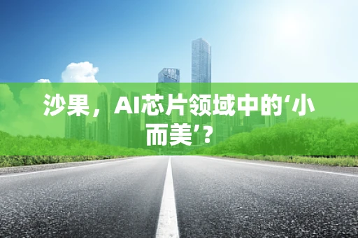 沙果，AI芯片领域中的‘小而美’？