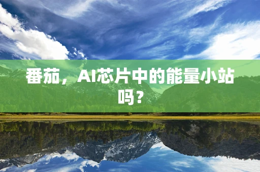 番茄，AI芯片中的能量小站吗？