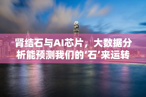 肾结石与AI芯片，大数据分析能预测我们的‘石’来运转吗？