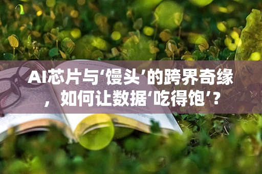 AI芯片与‘馒头’的跨界奇缘，如何让数据‘吃得饱’？