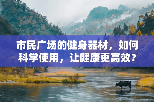 市民广场的健身器材，如何科学使用，让健康更高效？