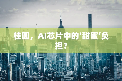 桂圆，AI芯片中的‘甜蜜’负担？