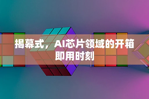 揭幕式，AI芯片领域的开箱即用时刻