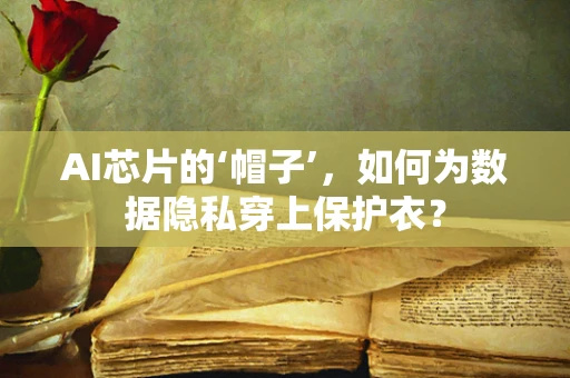 AI芯片的‘帽子’，如何为数据隐私穿上保护衣？