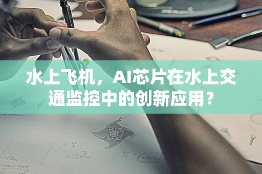 水上飞机，AI芯片在水上交通监控中的创新应用？