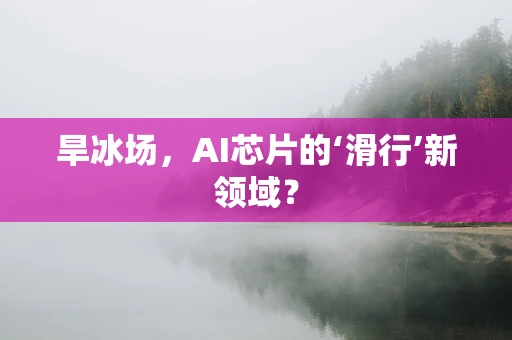 旱冰场，AI芯片的‘滑行’新领域？