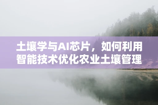 土壤学与AI芯片，如何利用智能技术优化农业土壤管理？