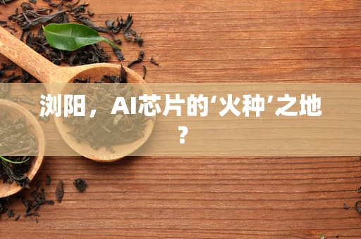 浏阳，AI芯片的‘火种’之地？