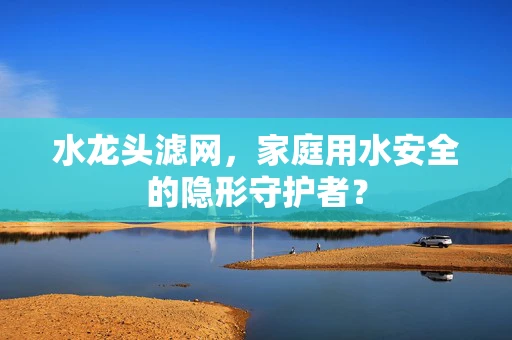 水龙头滤网，家庭用水安全的隐形守护者？