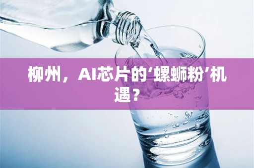 柳州，AI芯片的‘螺蛳粉’机遇？
