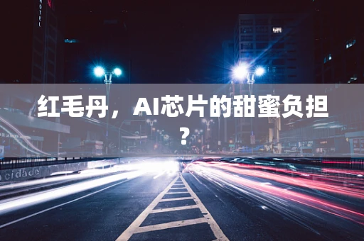 红毛丹，AI芯片的甜蜜负担？