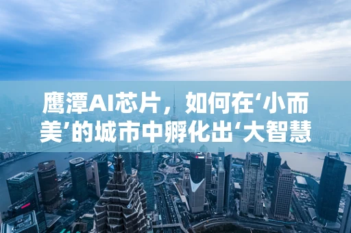 鹰潭AI芯片，如何在‘小而美’的城市中孵化出‘大智慧’的未来？